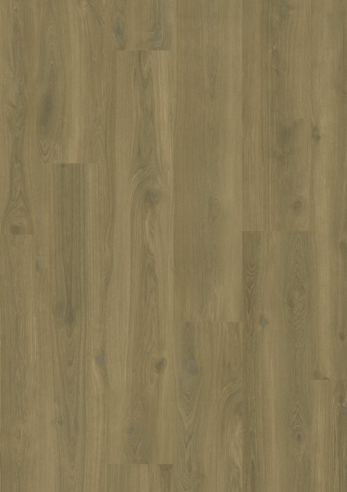 Brook Oak – Planke – Everglade