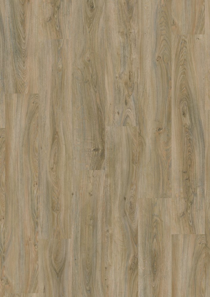 English Oak – Planke – Grege